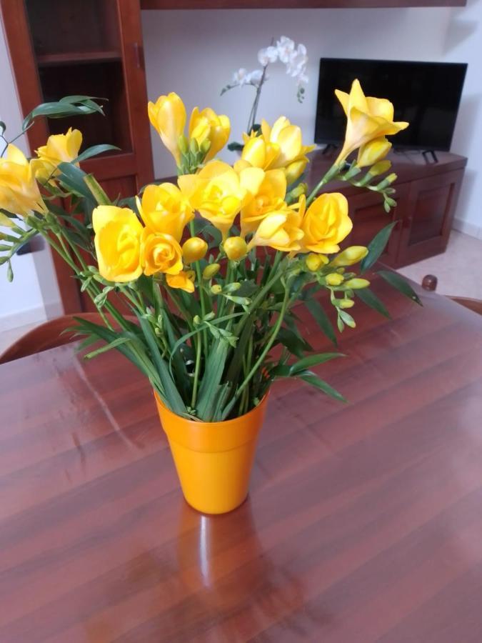 Affittacamere Montepiano Roccamontepiano Ngoại thất bức ảnh